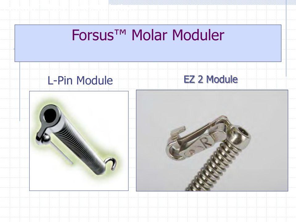 Molar Moduler L-Pin