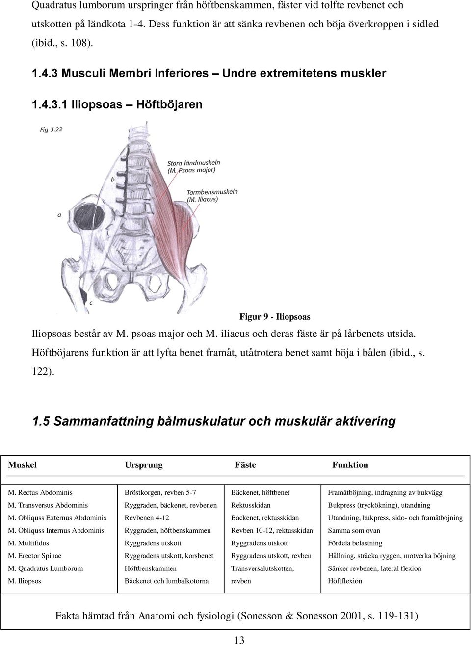 Höftböjarens funktion är att lyfta benet framåt, utåtrotera benet samt böja i bålen (ibid., s. 122). 1.5 Sammanfattning bålmuskulatur och muskulär aktivering Muskel Ursprung Fäste Funktion M.