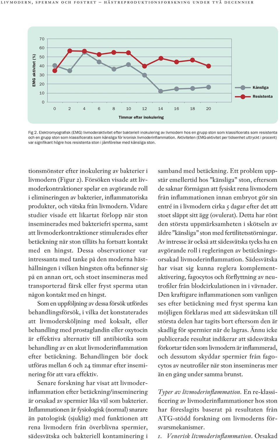 livmoderinflammation. Aktiviteten (EMG-aktivitet per tidsenhet uttryckt i procent) var signifikant högre hos resistenta ston i jämförelse med känsliga ston.