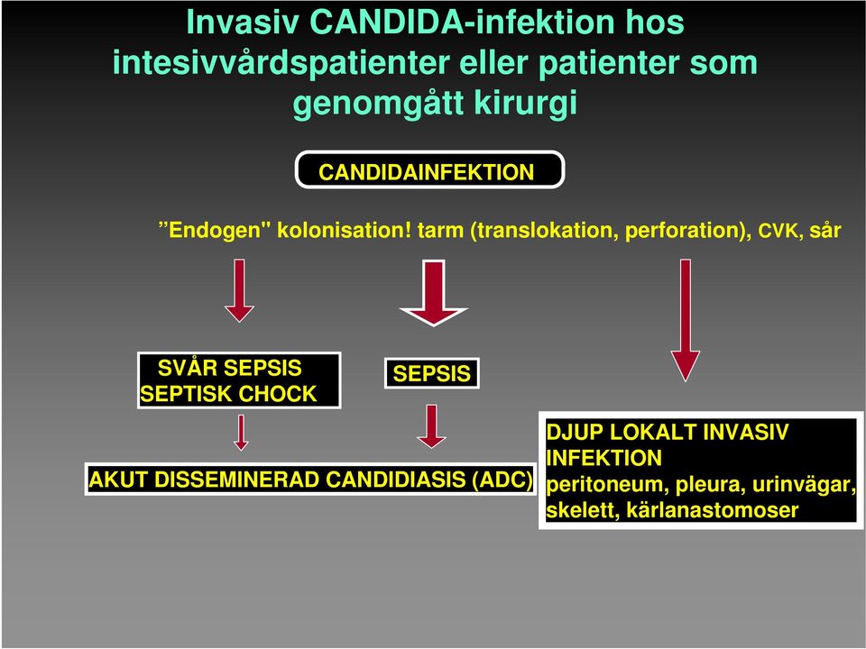 tarm (translokation, perforation), CVK, sår SVÅR SEPSIS SEPTISK CHOCK SEPSIS AKUT