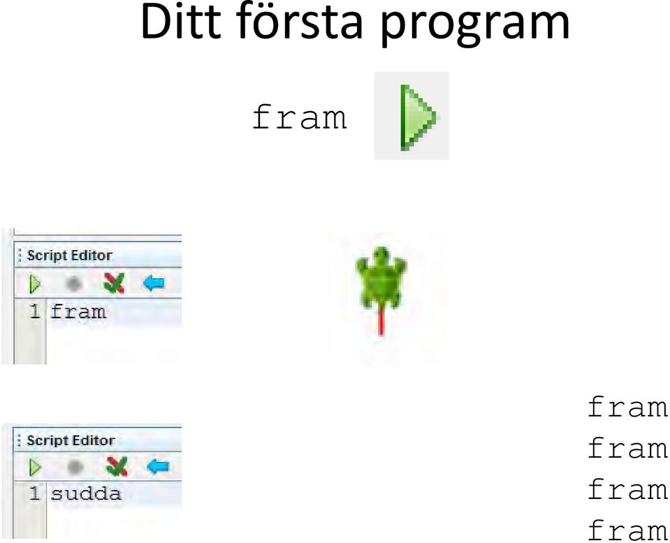 program