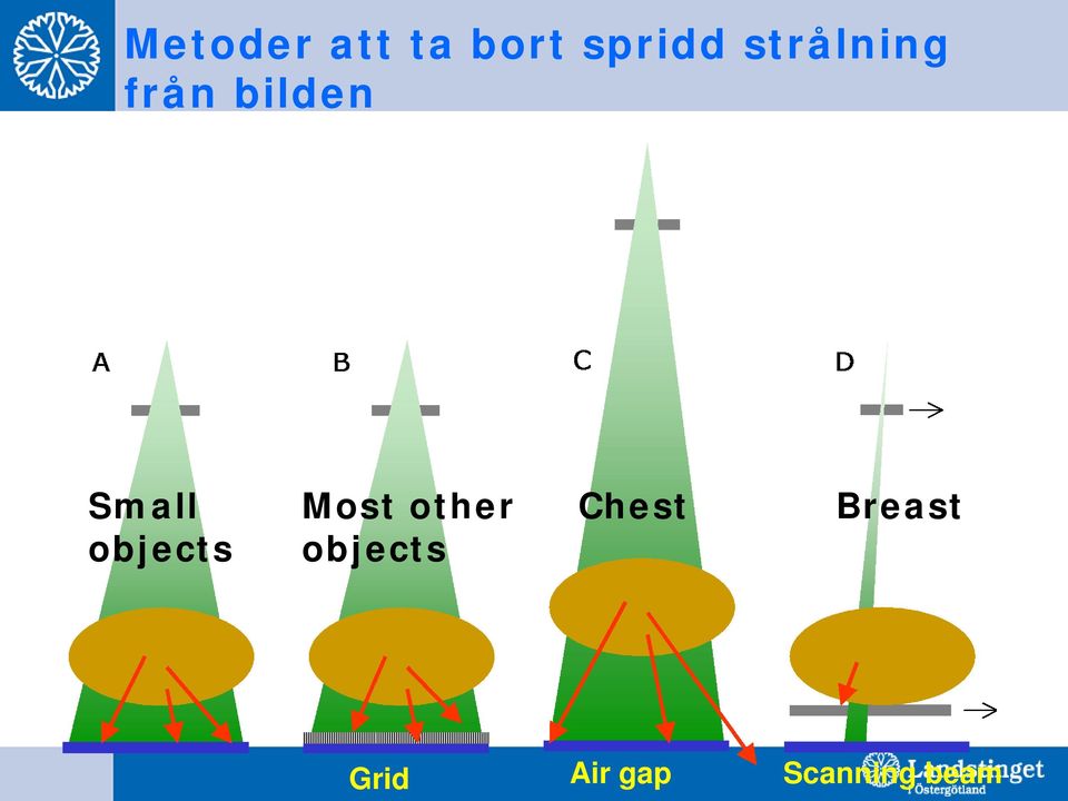 Most other Chest Breast