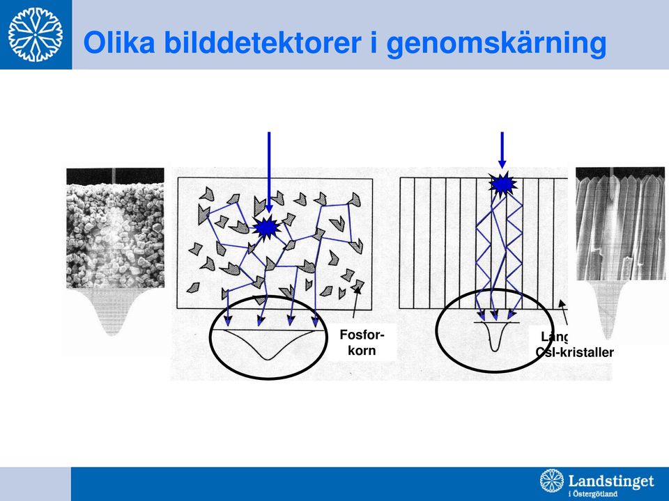 genomskärning