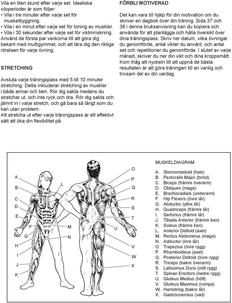 STRETCHING Avsluta varje träningspass med 5 till 10 minuter stretching. Detta inkluderar stretching av muskler i både armar och ben. Rör dig sakta medans du stretchar ut, och inte ryck och dra.