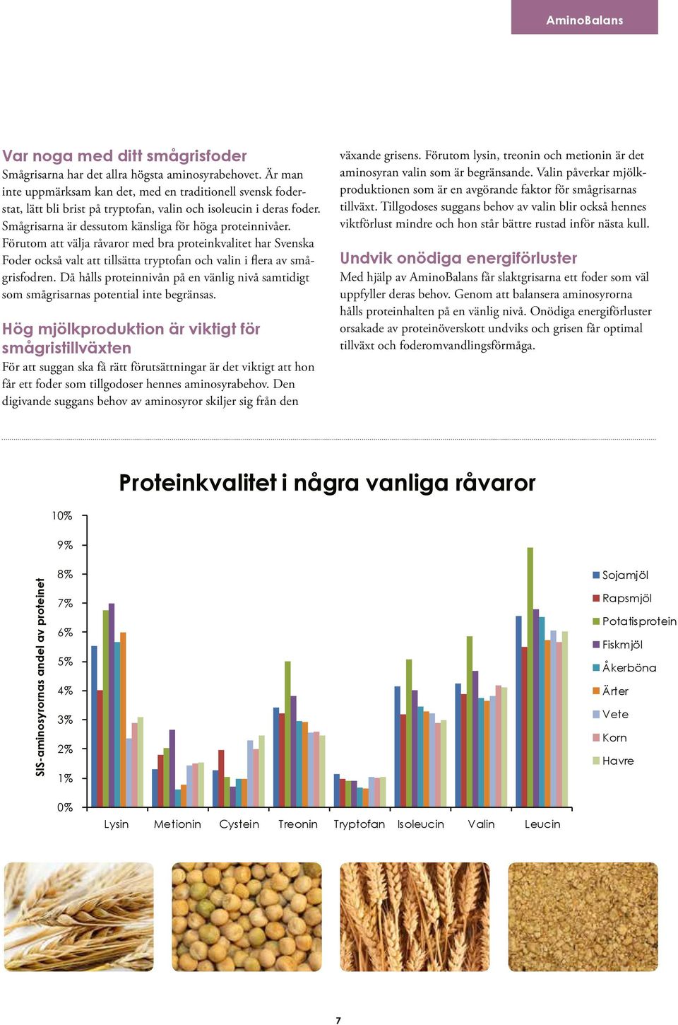 Förutom att välja råvaror med bra proteinkvalitet har Svenska Foder också valt att tillsätta tryptofan och valin i flera av smågrisfodren.