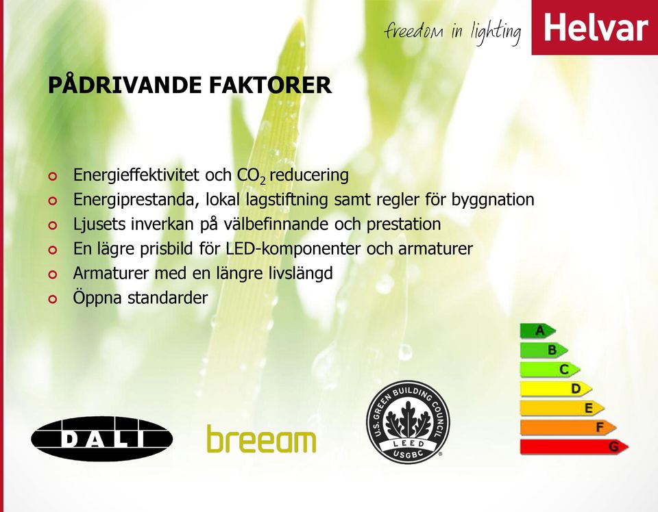 Ljusets inverkan på välbefinnande och prestation En lägre prisbild