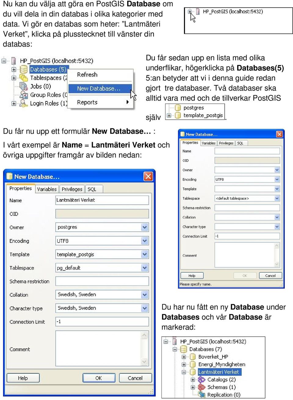 är Name = Lantmäteri Verket och övriga uppgifter framgår av bilden nedan: Du får sedan upp en lista med olika underflikar, högerklicka på Databases(5)