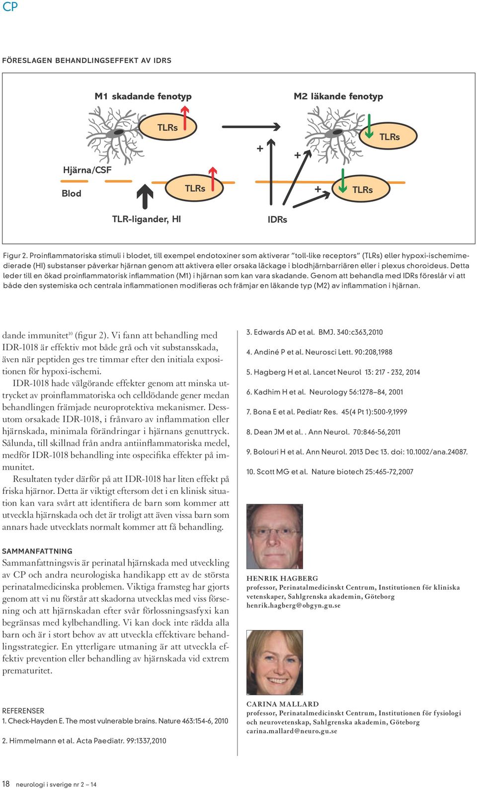 läckage i blodhjärnbarriären eller i plexus choroideus. Detta leder till en ökad proinflammatorisk inflammation (M1) i hjärnan som kan vara skadande.