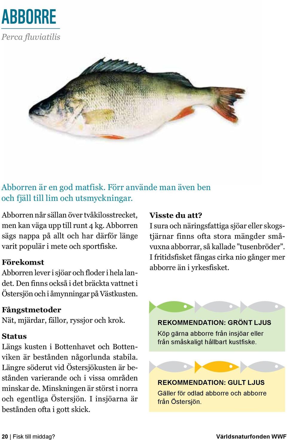 Den finns också i det bräckta vattnet i Östersjön och i åmynningar på Västkusten. Nät, mjärdar, fällor, ryssjor och krok. Längs kusten i Bottenhavet och Bottenviken är bestånden någorlunda stabila.