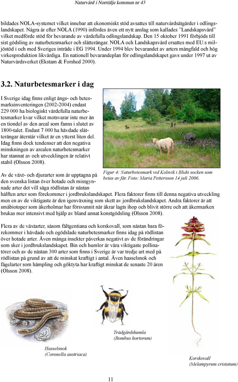 Den 15 oktober 1991 förbjöds till sist gödsling av naturbetesmarker och slåtterängar. NOLA och Landskapsvård ersattes med EU:s miljöstöd i och med Sveriges inträde i EG 1994.