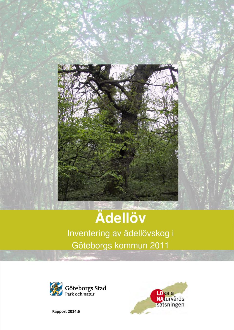 ädellövskog i