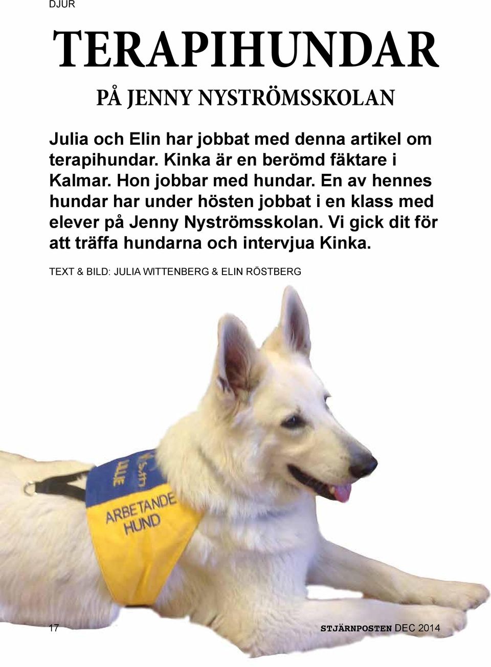 En av hennes hundar har under hösten jobbat i en klass med elever på Jenny Nyströmsskolan.