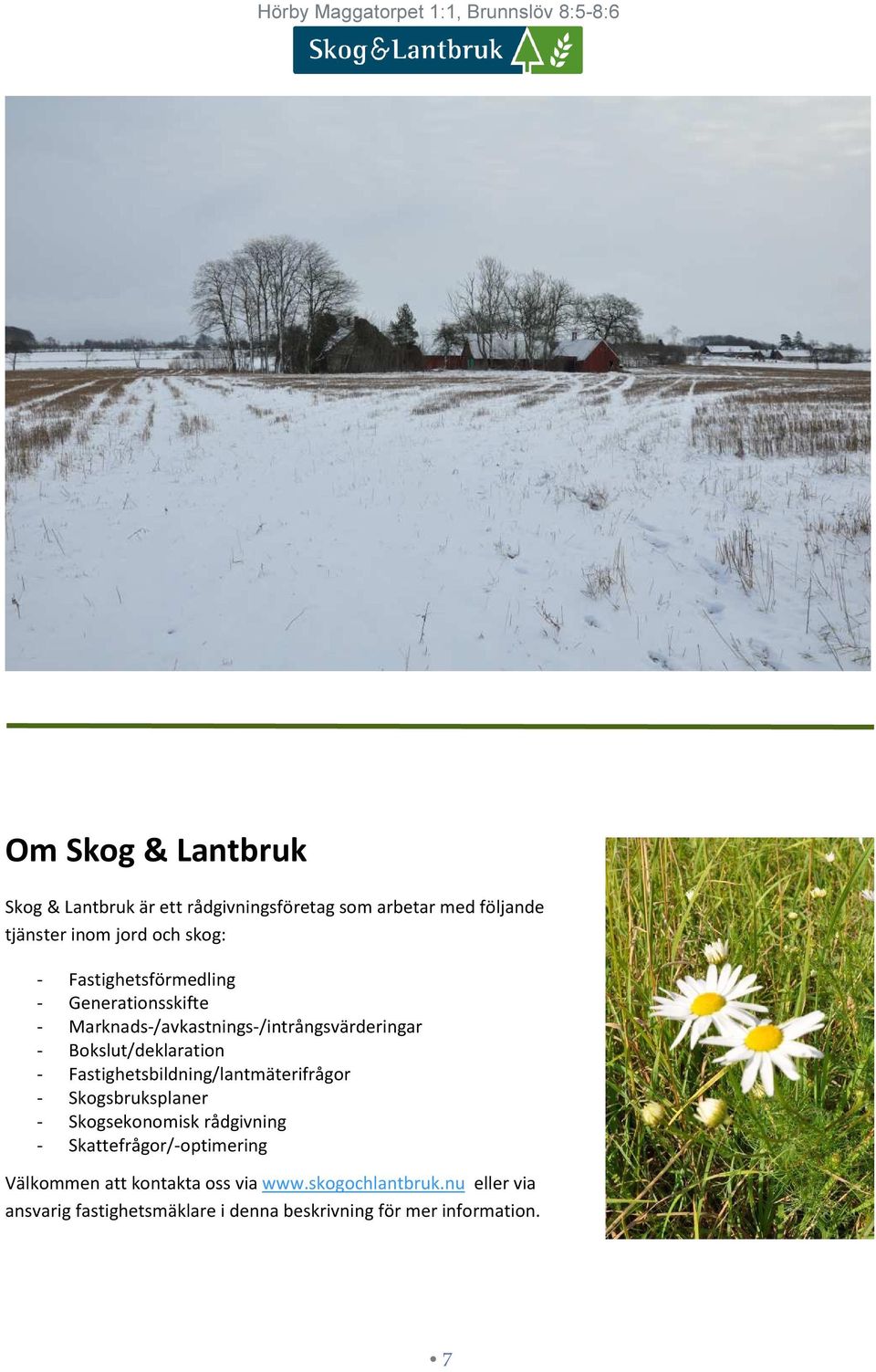 Fastighetsbildning/lantmäterifrågor - Skogsbruksplaner - Skogsekonomisk rådgivning - Skattefrågor/-optimering