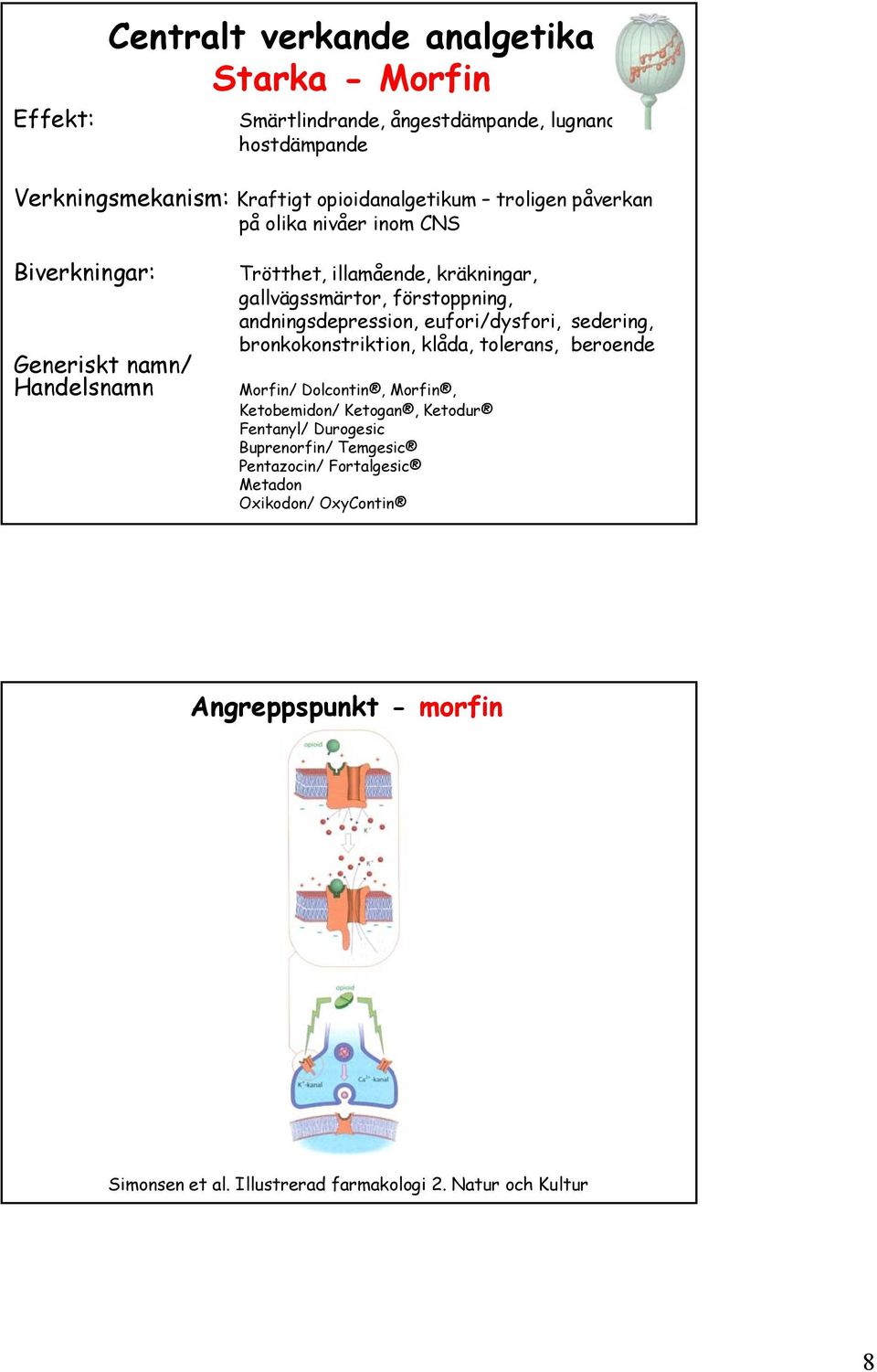 andningsdepression, eufori/dysfori, sedering, bronkokonstriktion, klåda, tolerans, beroende Morfin/ Dolcontin, Morfin, Ketobemidon/ Ketogan, Ketodur