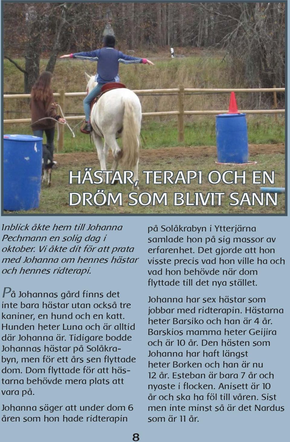 Tidigare bodde Johannas hästar på Solåkrabyn, men för ett års sen flyttade dom. Dom flyttade för att hästarna behövde mera plats att vara på.