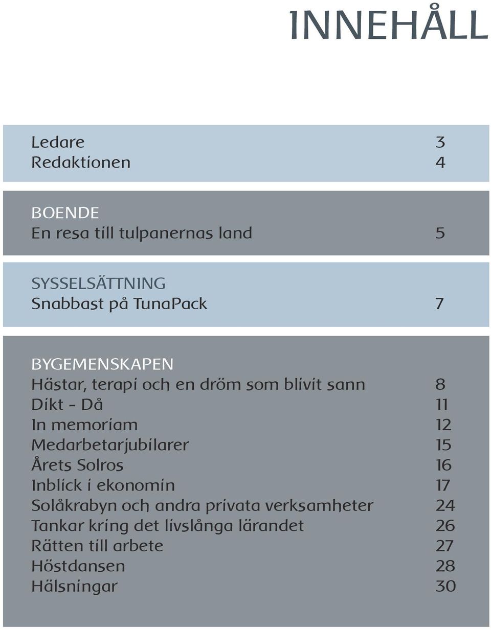 Medarbetarjubilarer 15 Årets Solros 16 Inblick i ekonomin 17 Solåkrabyn och andra privata