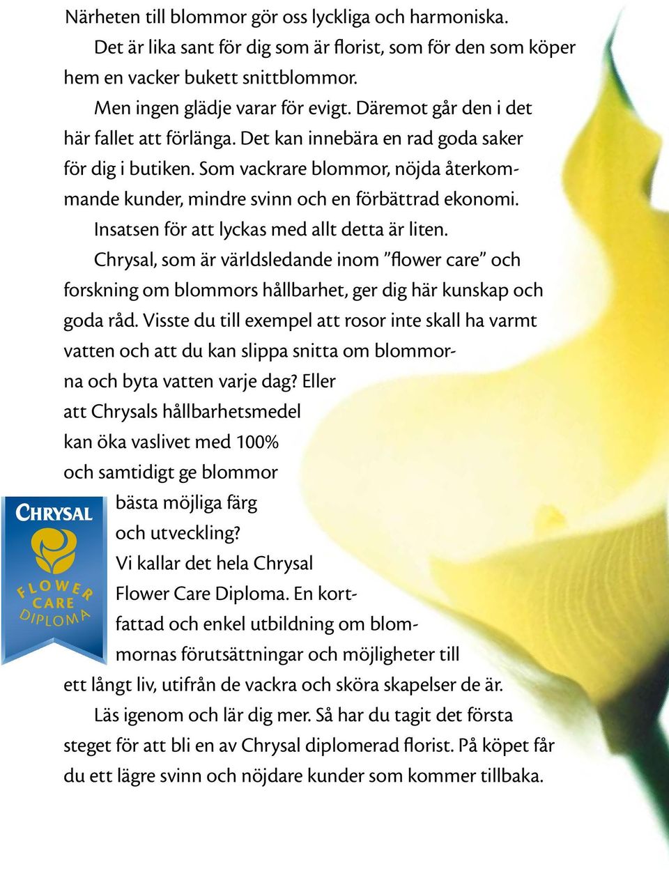 Insatsen för att lyckas med allt detta är liten. Chrysal, som är världsledande inom flower care och forskning om blommors hållbarhet, ger dig här kunskap och goda råd.