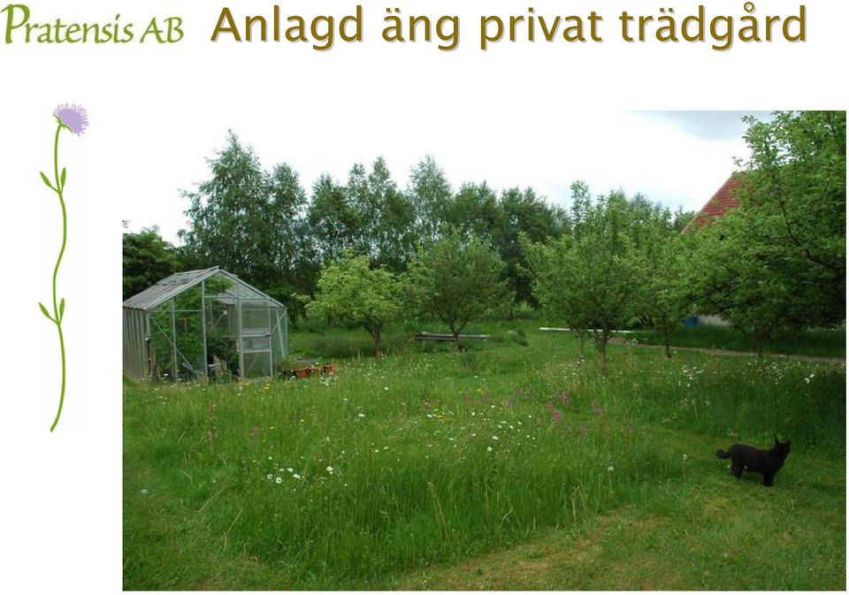 privat