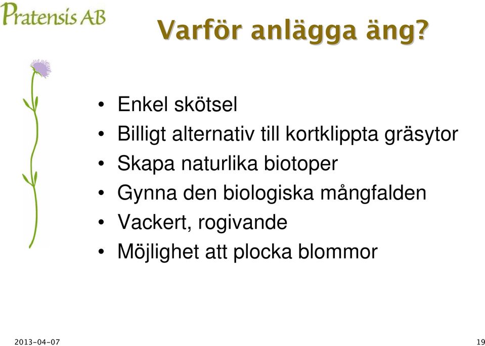 gräsytor Skapa naturlika biotoper Gynna den