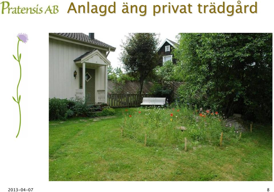 trädg