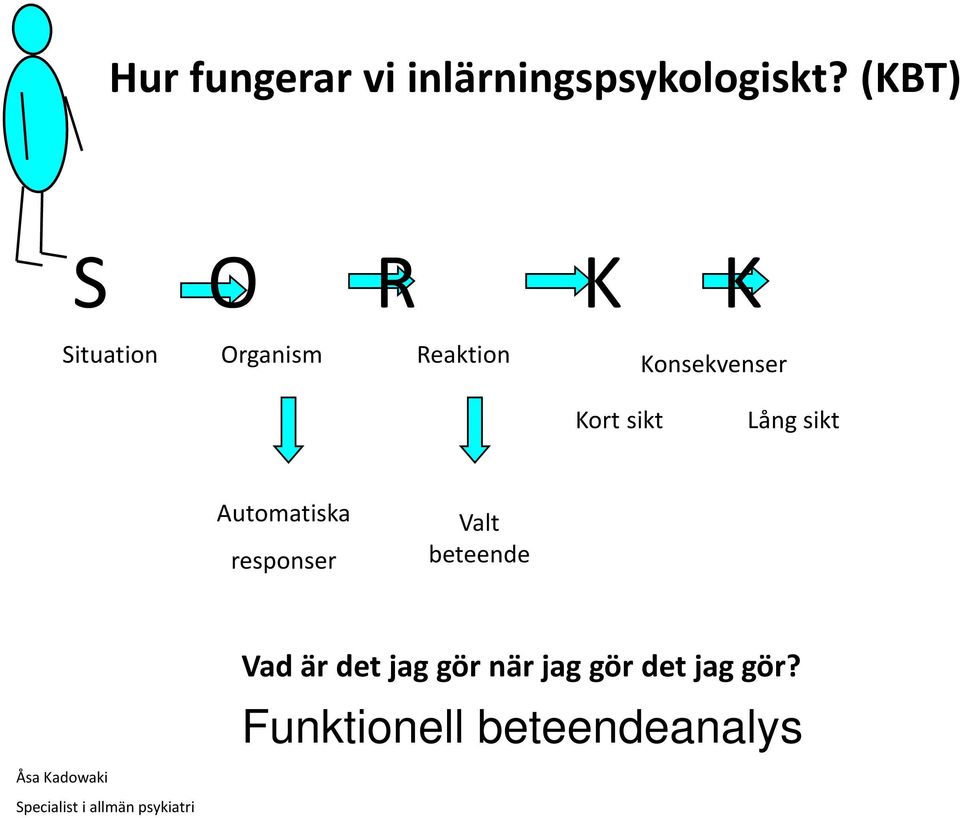 Lång sikt Automatiska responser Valt beteende Vad är det jag gör