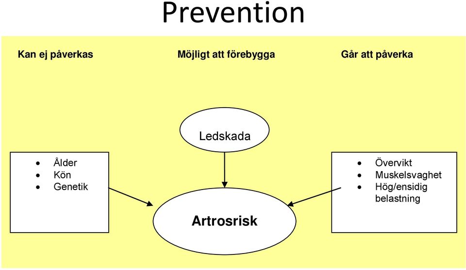 Ledskada Ålder Kön Genetik Övervikt