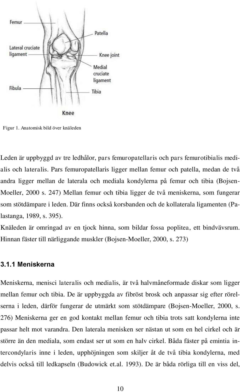 247) Mellan femur och tibia ligger de två meniskerna, som fungerar som stötdämpare i leden. Där finns också korsbanden och de kollaterala ligamenten (Palastanga, 1989, s. 395).