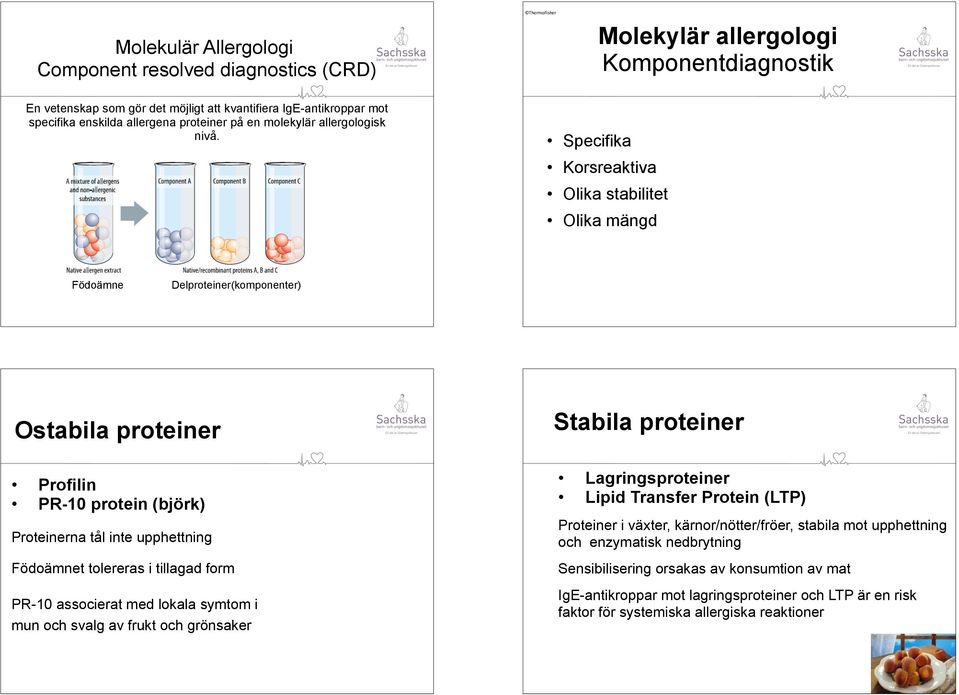 Specifika Korsreaktiva Olika stabilitet Olika mängd Födoämne Delproteiner(komponenter) ThermoFisher Ostabila proteiner Stabila proteiner Profilin PR-10 protein (björk) Proteinerna tål inte