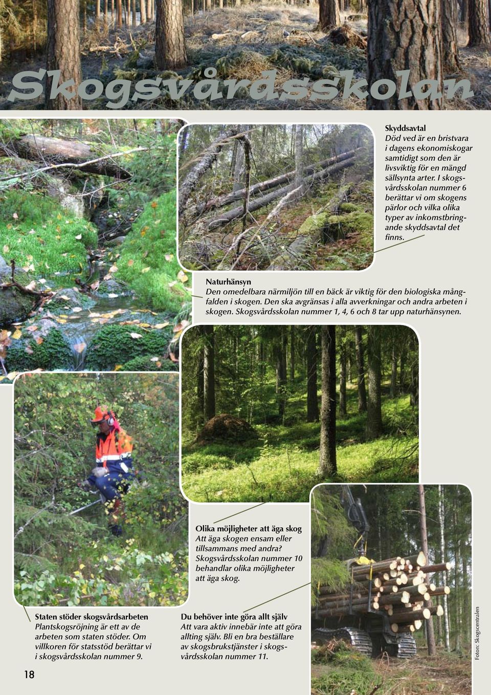 Naturhänsyn Den omedelbara närmiljön till en bäck är viktig för den biologiska mångfalden i skogen. Den ska avgränsas i alla avverkningar och andra arbeten i skogen.