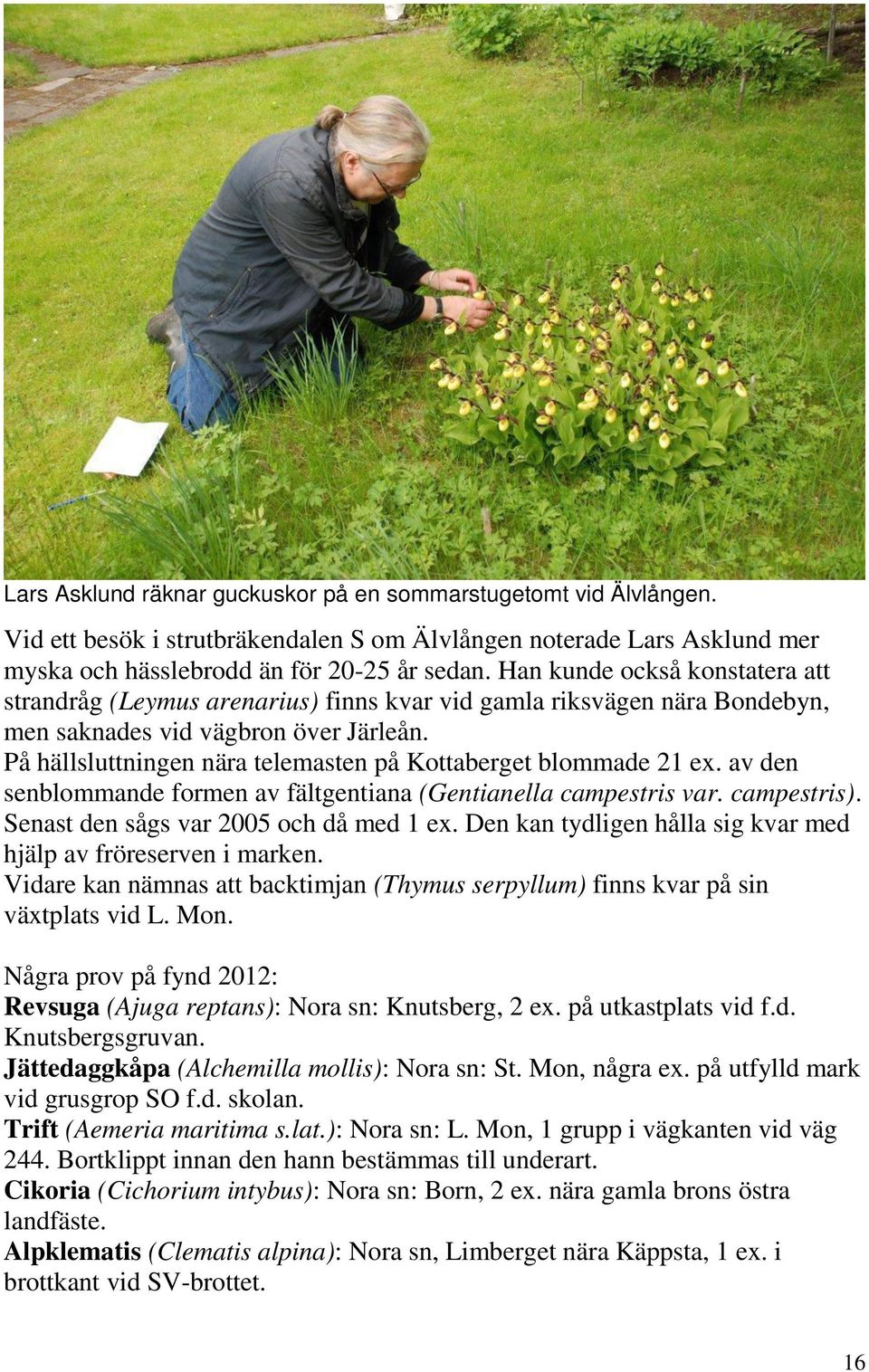 På hällsluttningen nära telemasten på Kottaberget blommade 21 ex. av den senblommande formen av fältgentiana (Gentianella campestris var. campestris). Senast den sågs var 2005 och då med 1 ex.