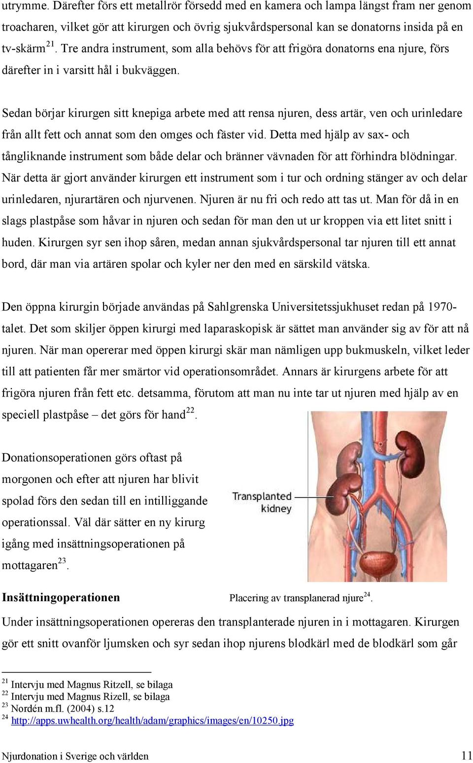 Sedan börjar kirurgen sitt knepiga arbete med att rensa njuren, dess artär, ven och urinledare från allt fett och annat som den omges och fäster vid.