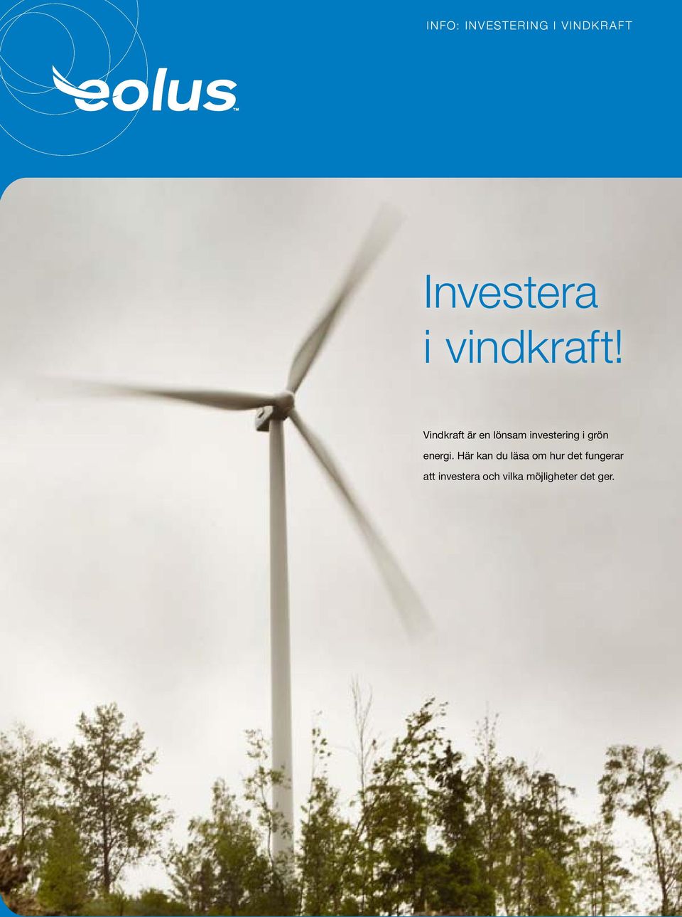 Vindkraft är en lönsam investering i grön