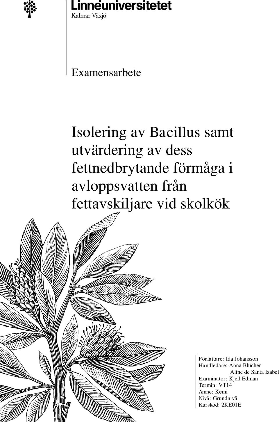 Författare: Ida Johansson Handledare: Anna Blücher Aline de Santa