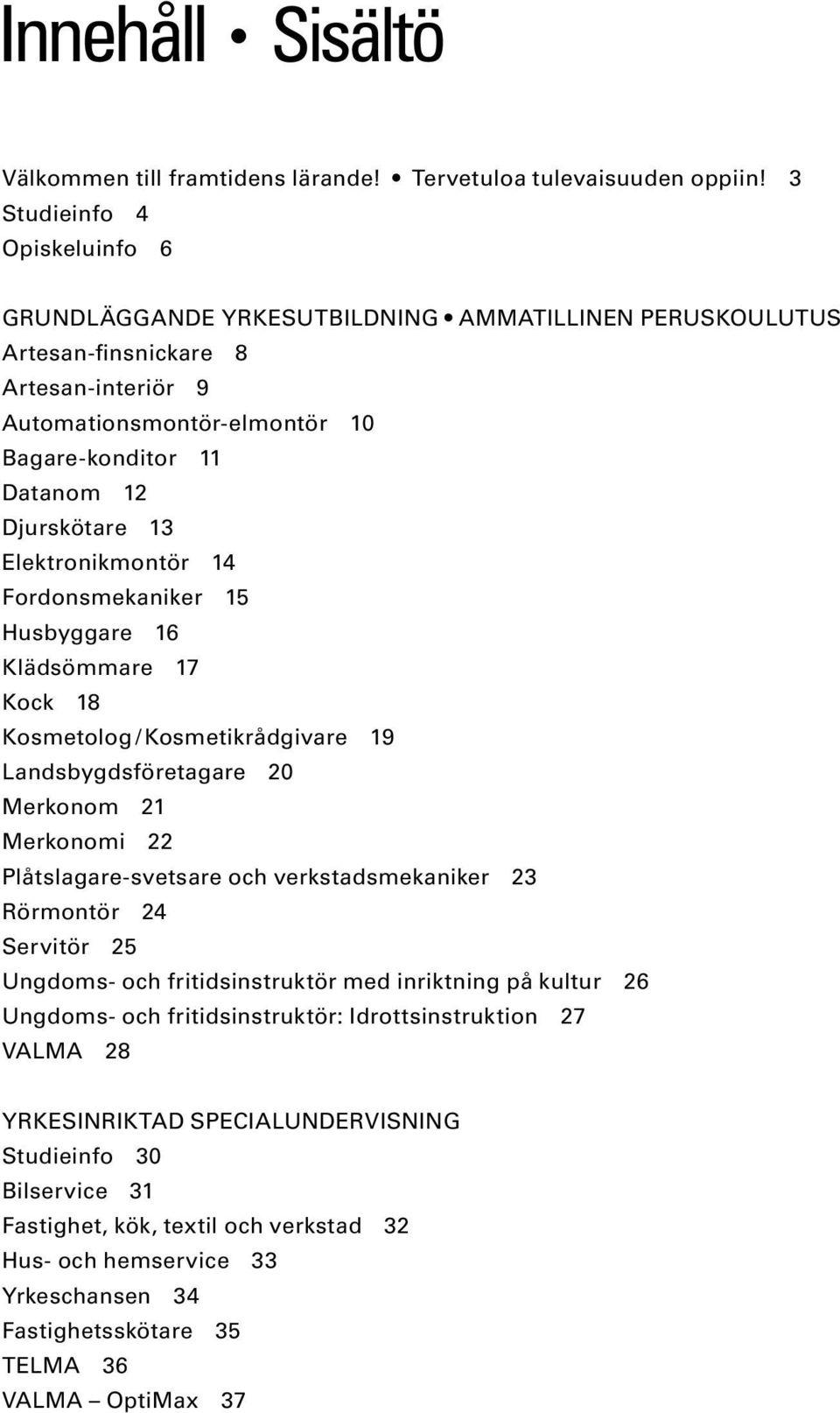 13 Elektronikmontör 14 Fordonsmekaniker 15 Husbyggare 16 Klädsömmare 17 Kock 18 Kosmetolog / Kosmetikrådgivare 19 Landsbygdsföretagare 20 Merkonom 21 Merkonomi 22 Plåtslagare-svetsare och