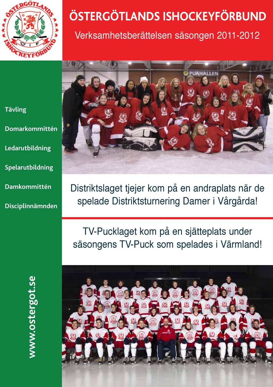 Distriktslaget tjejer kom på en andraplats när de spelade Distriktsturnering Damer i