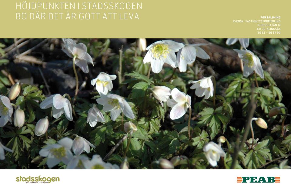svensk FASTIGHETSFÖRMEDLING