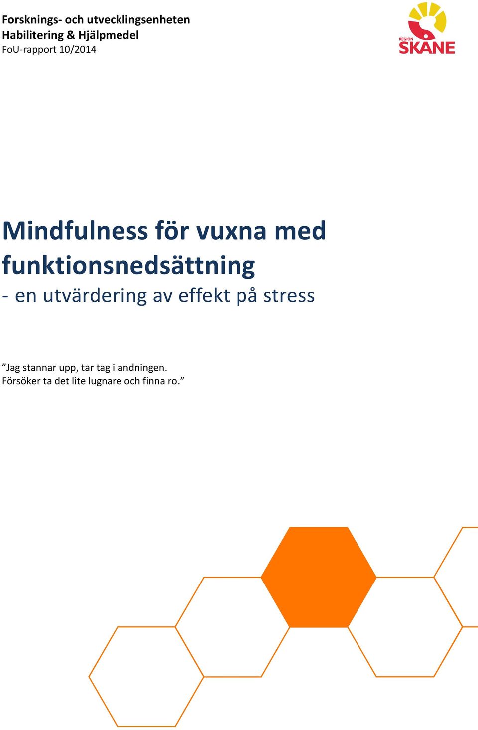 funktionsnedsättning - en utvärdering av effekt på stress Jag