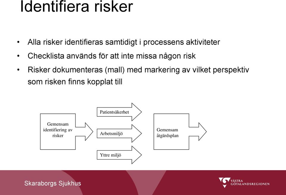 markering av vilket perspektiv som risken finns kopplat till Riskbedömning