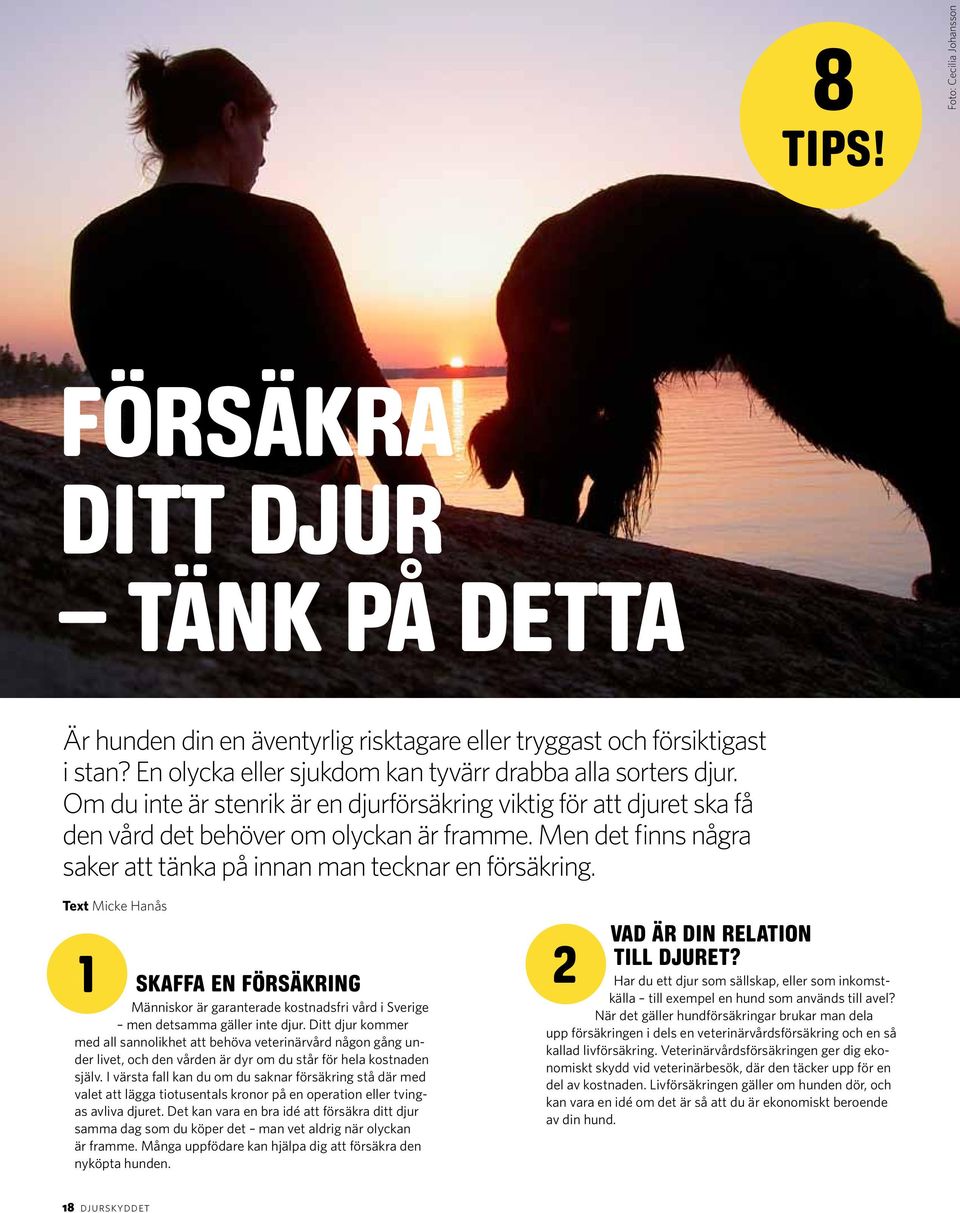 Men det finns några saker att tänka på innan man tecknar en försäkring. Text Micke Hanås 1 skaffa en försäkring Människor är garanterade kostnadsfri vård i Sverige men detsamma gäller inte djur.