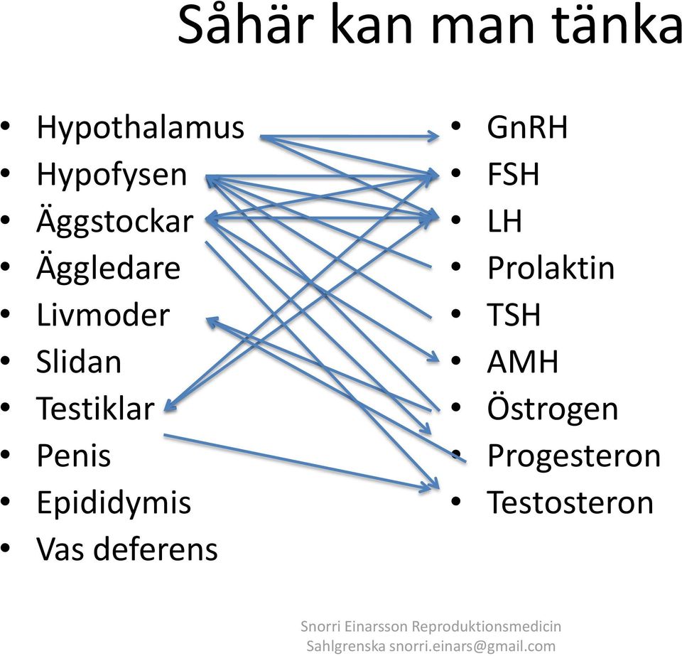 FSH LH Prolaktin TSH AMH Östrogen Progesteron Testosteron