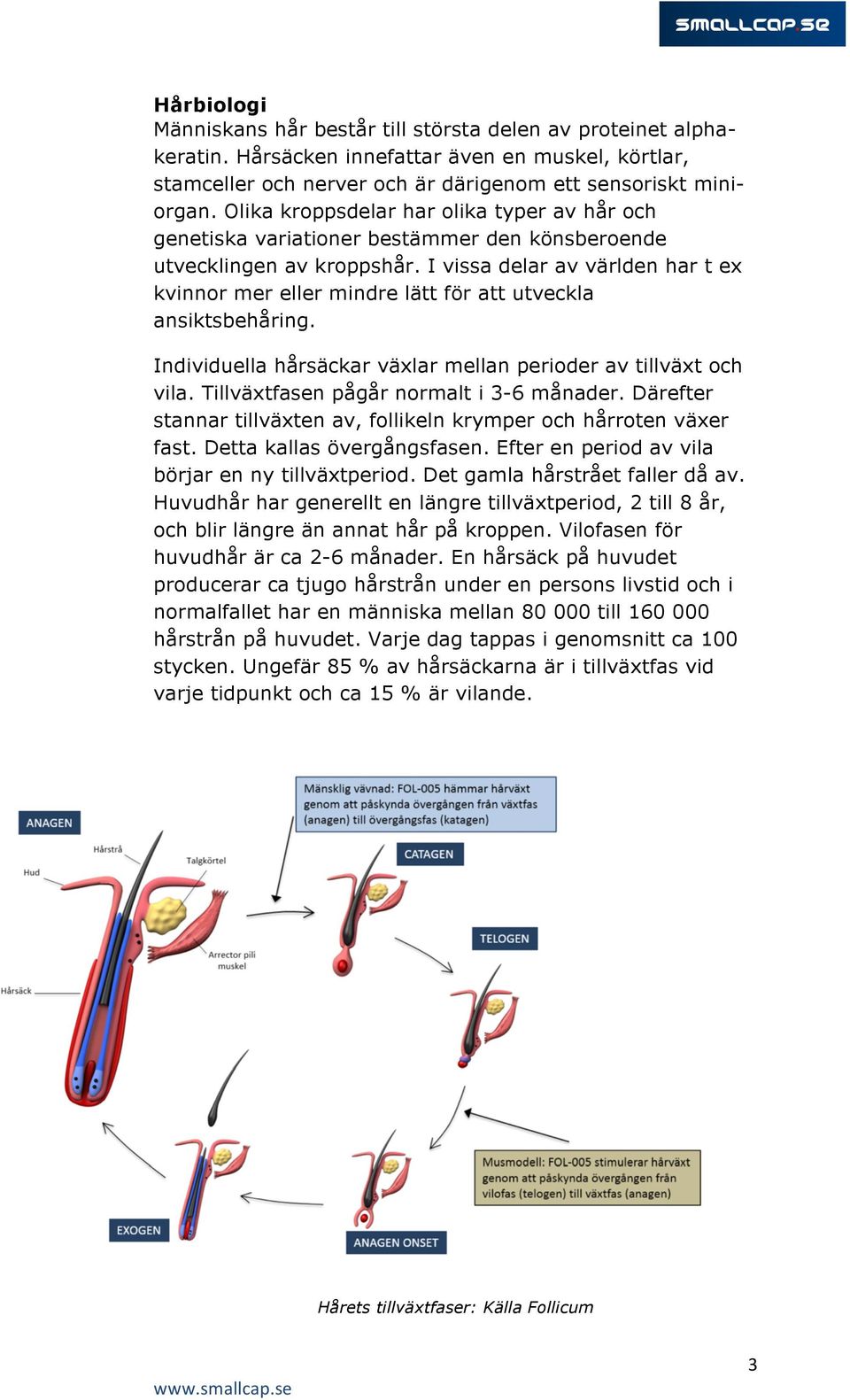 I vissa delar av världen har t ex kvinnor mer eller mindre lätt för att utveckla ansiktsbehåring. Individuella hårsäckar växlar mellan perioder av tillväxt och vila.