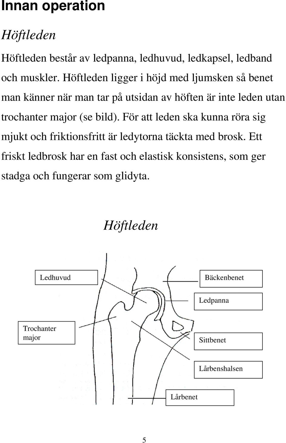 (se bild). För att leden ska kunna röra sig mjukt och friktionsfritt är ledytorna täckta med brosk.