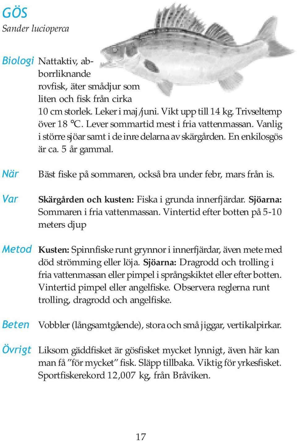 När Var Bäst fiske på sommaren, också bra under febr, mars från is. Skärgården och kusten: Fiska i grunda innerfjärdar. Sjöarna: Sommaren i fria vattenmassan.