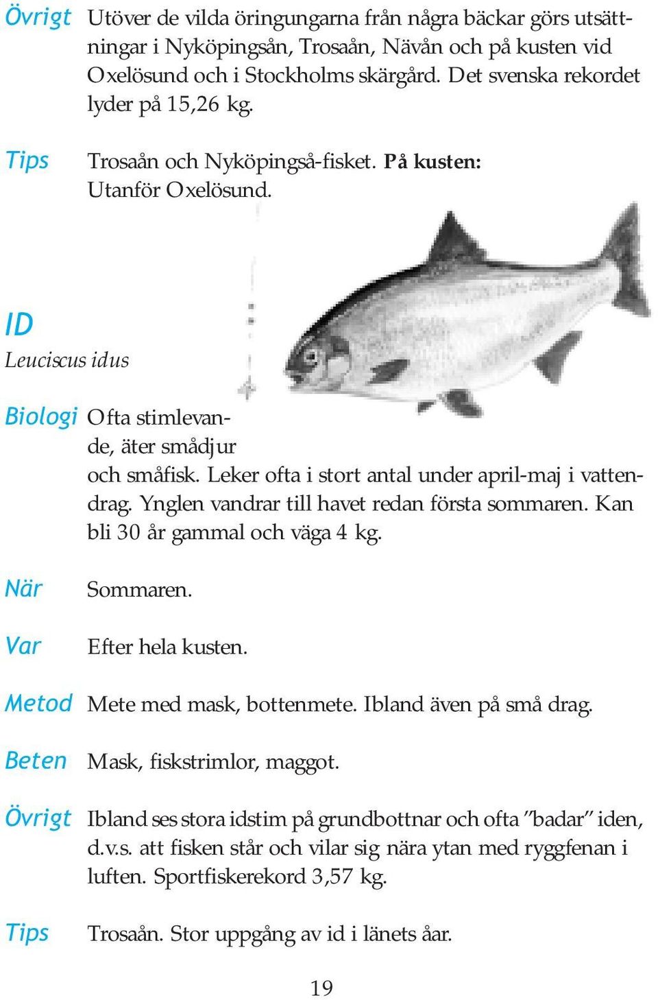 Ynglen vandrar till havet redan första sommaren. Kan bli 30 år gammal och väga 4 kg. När Var Sommaren. Efter hela kusten. Metod Mete med mask, bottenmete. Ibland även på små drag.