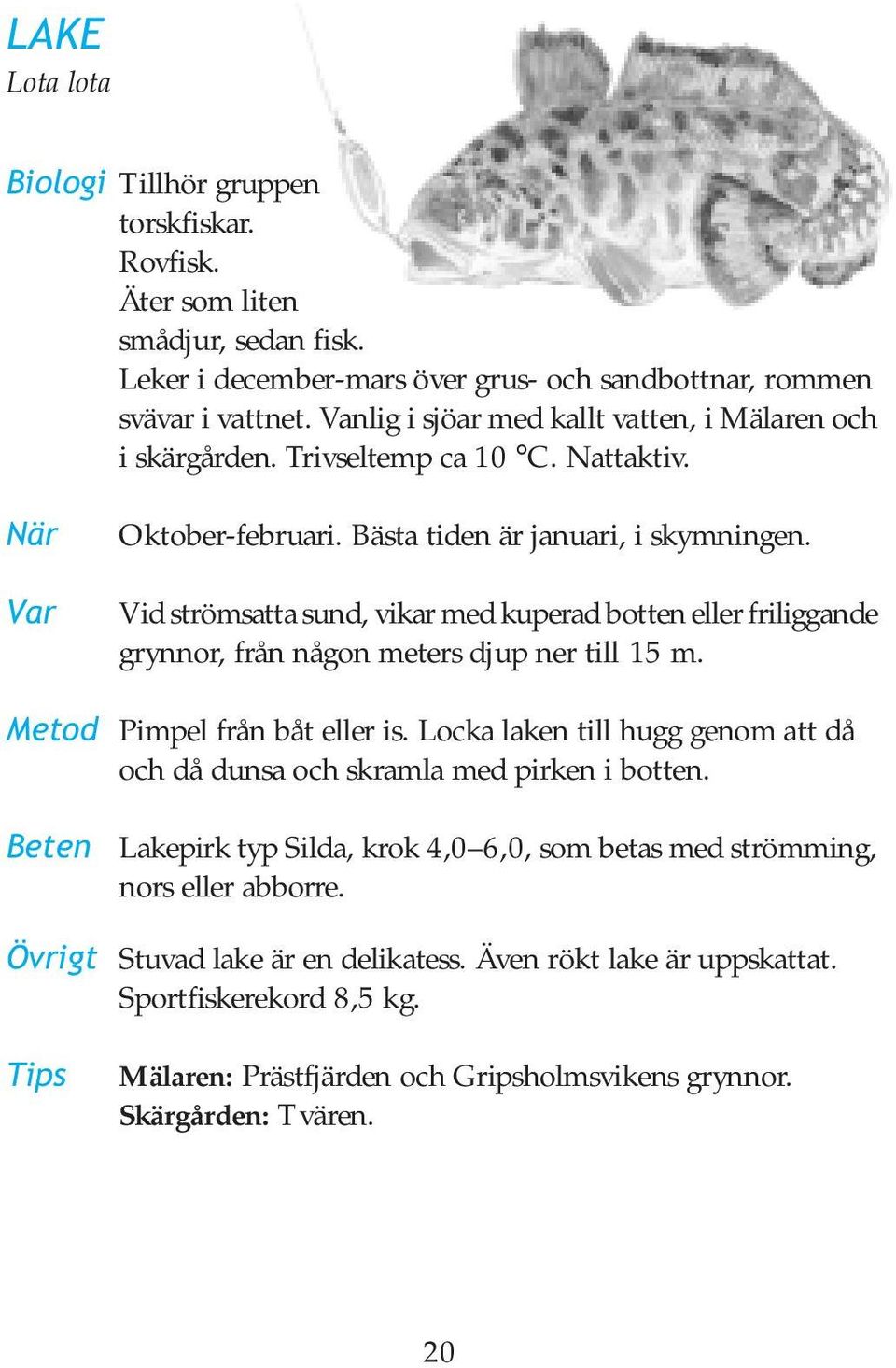 Vid strömsatta sund, vikar med kuperad botten eller friliggande grynnor, från någon meters djup ner till 15 m. Metod Pimpel från båt eller is.