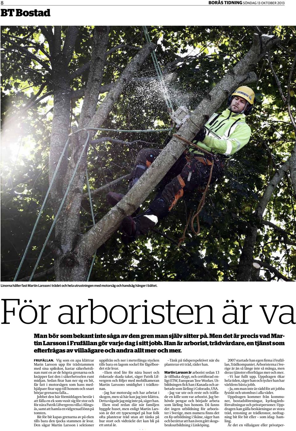 Han är arborist, trädvårdare, en tjänst som efterfrågas av villaägare och andra allt mer och mer. Frufällan.