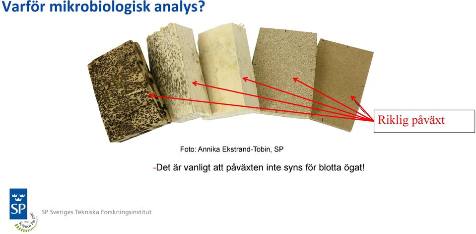 Ekstrand-Tobin, SP -Det är