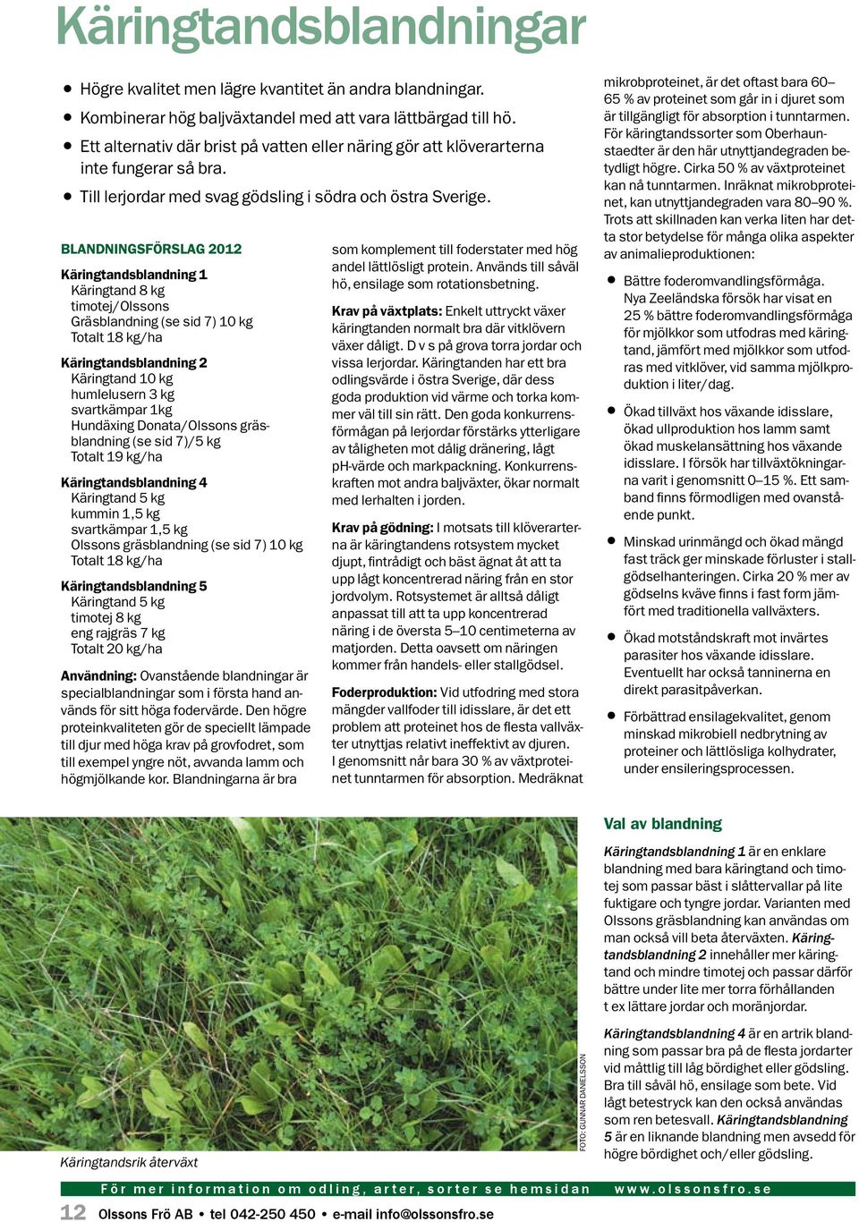 Blandningsförslag 2012 Käringtandsblandning 1 Käringtand 8 kg timotej/olssons Gräsblandning (se sid 7) 10 kg Totalt 18 kg/ha Käringtandsblandning 2 Käringtand 10 kg humlelusern 3 kg svartkämpar 1kg