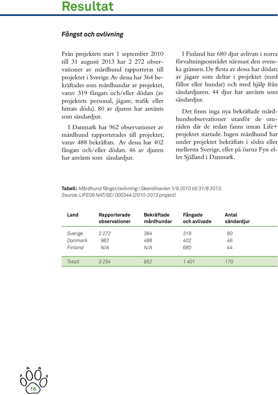 I Danmark har 9 observationer av mårdhund rapporterades till projektet, varav bekräftats. Av dessa har fångats och/eller dödats. av djuren har använts som sändardjur.