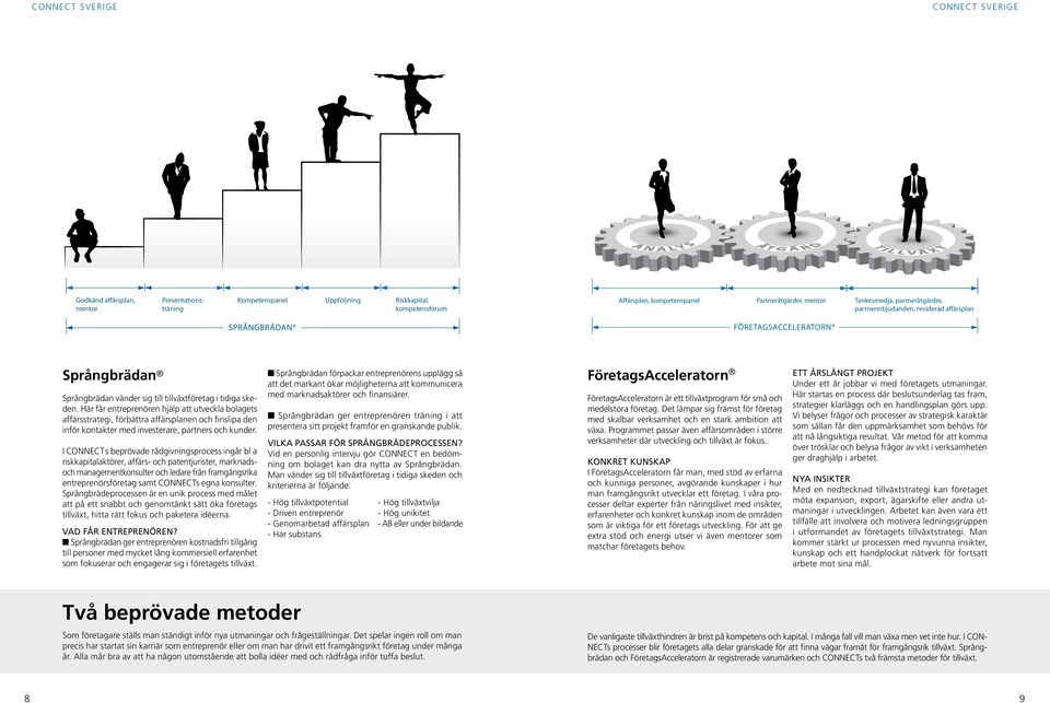 Här får entreprenören hjälp att utveckla bolagets affärsstrategi, förbättra affärsplanen och finslipa den inför kontakter med investerare, partners och kunder.